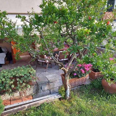 Στουντιο Κοντά Στην Κλινική Αγ Λουκα Thessaloniki Exterior photo